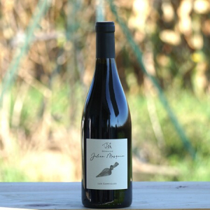 Côte-du-Rhône Domaine Julien Masquin Cuvée les Garrigues rouge millésime 2022