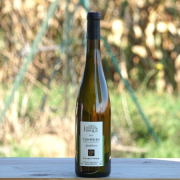 Condrieu - Domaine Pierre Finon - Blanc - Millésime 2023