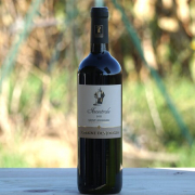 Saint Chinian L'ancestrale domaine des Jougla